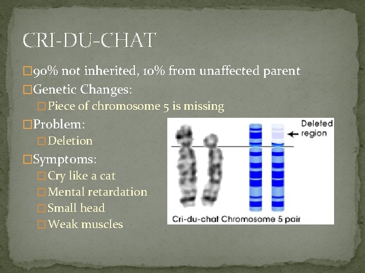 CRI-DU-CHAT � 90% not inherited, 10% from unaffected parent �Genetic Changes: �Piece of chromosome