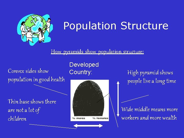 Population Structure How pyramids show population structure: Convex sides show population in good health