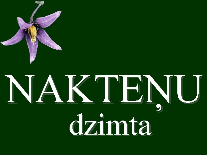 NAKTEŅU dzimta 