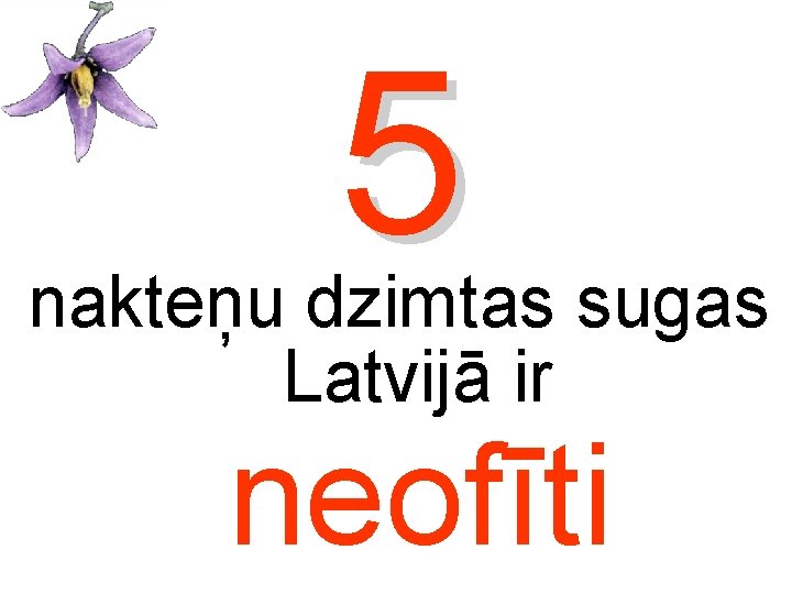 5 nakteņu dzimtas sugas Latvijā ir neofīti 