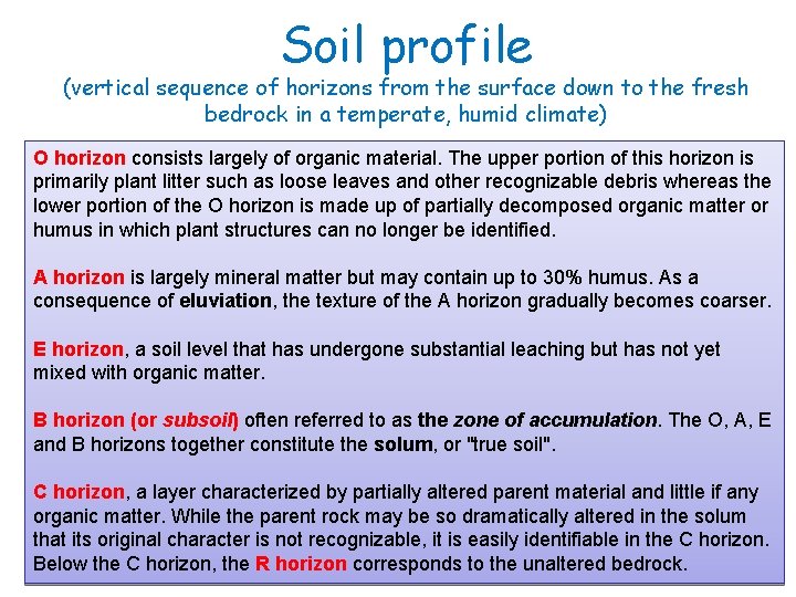 Soil profile (vertical sequence of horizons from the surface down to the fresh bedrock