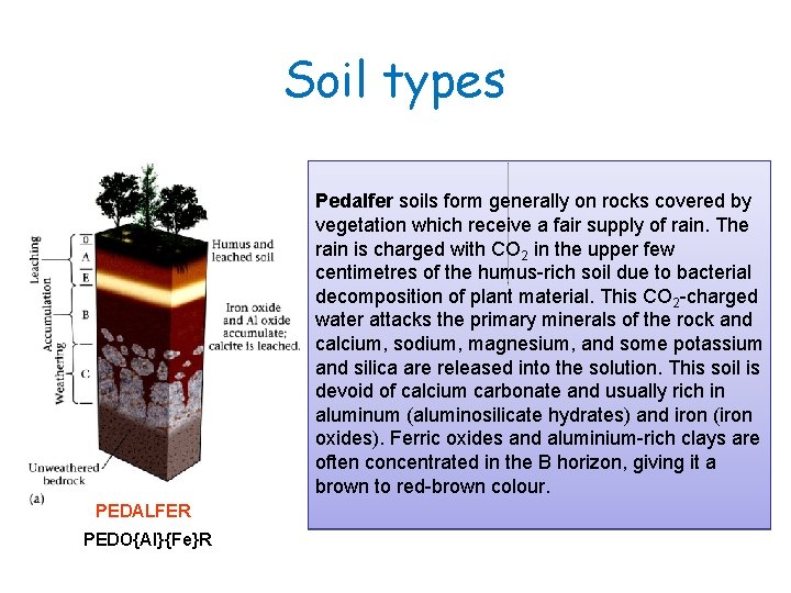 07_14 abc. jpg Soil types Pedalfer soils form generally on rocks covered by vegetation