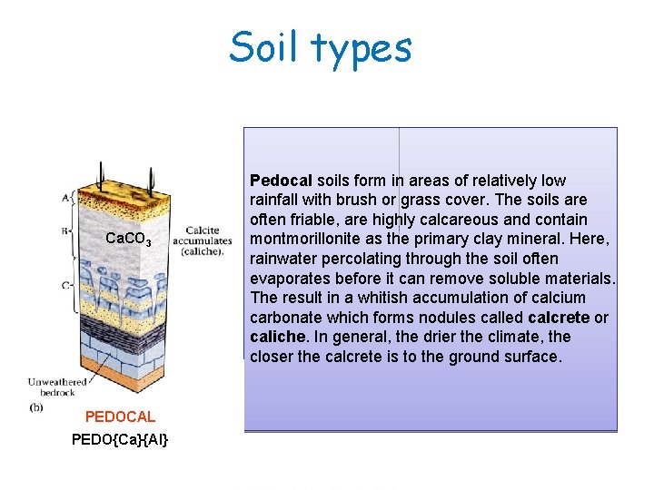 Soil types 07_14 abc. jpg Ca. CO 3 PEDOCAL PEDO{Ca}{Al} Pedocal soils form in