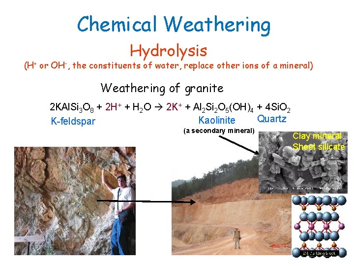 Chemical Weathering Hydrolysis (H+ or OH-, the constituents of water, replace other ions of