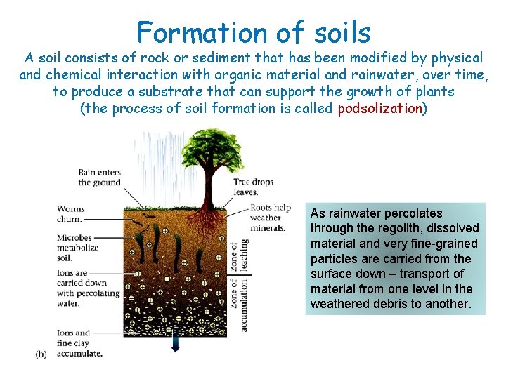 Formation of soils A soil consists of rock or sediment that has been modified
