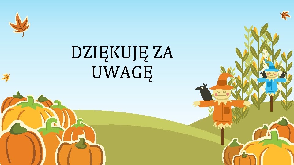 DZIĘKUJĘ ZA UWAGĘ 