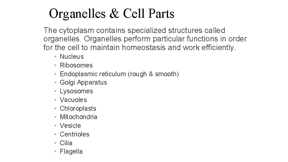 Organelles & Cell Parts The cytoplasm contains specialized structures called organelles. Organelles perform particular