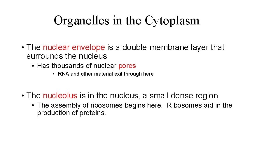 Organelles in the Cytoplasm • The nuclear envelope is a double-membrane layer that surrounds