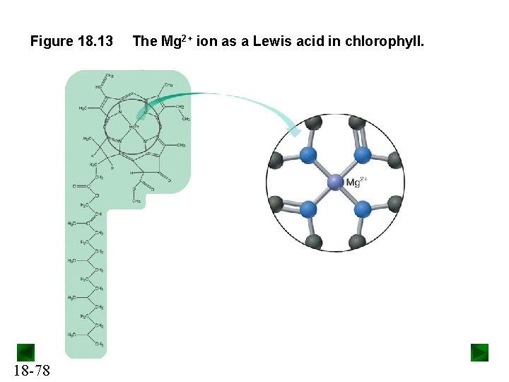 Figure 18. 13 18 -78 The Mg 2+ ion as a Lewis acid in