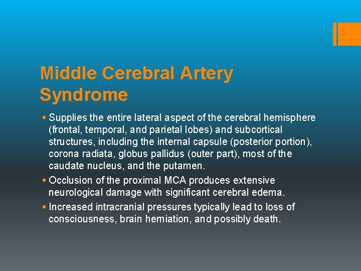 Middle Cerebral Artery Syndrome § Supplies the entire lateral aspect of the cerebral hemisphere