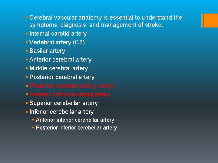 § Cerebral vascular anatomy is essential to understand the symptoms, diagnosis, and management of