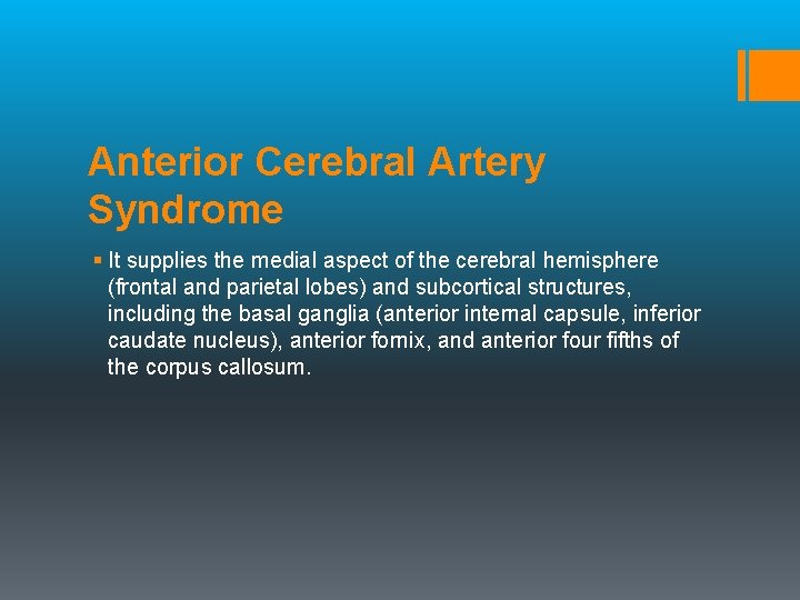 Anterior Cerebral Artery Syndrome § It supplies the medial aspect of the cerebral hemisphere