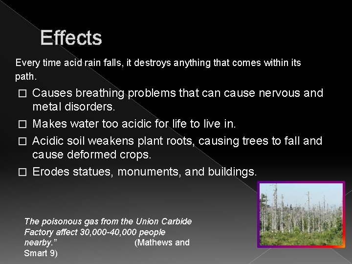 Effects Every time acid rain falls, it destroys anything that comes within its path.