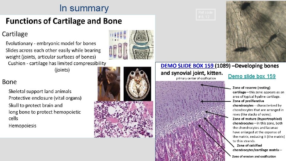 In summary Ref code # 6, 12 Demo slide box 159 In summary Ref code # 6, 12 Demo slide box 159