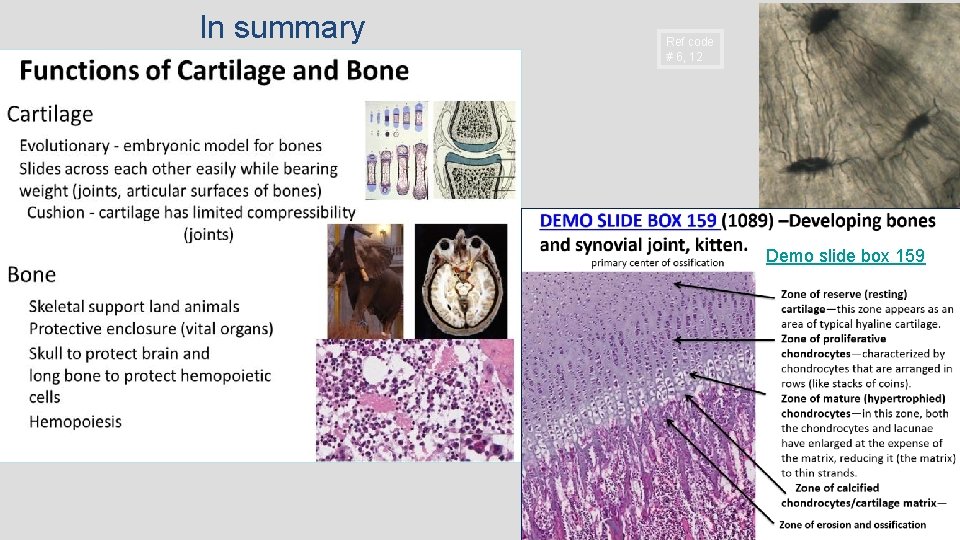 In summary Ref code # 6, 12 Demo slide box 159 