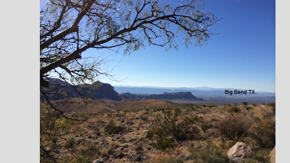 Big Bend TX 