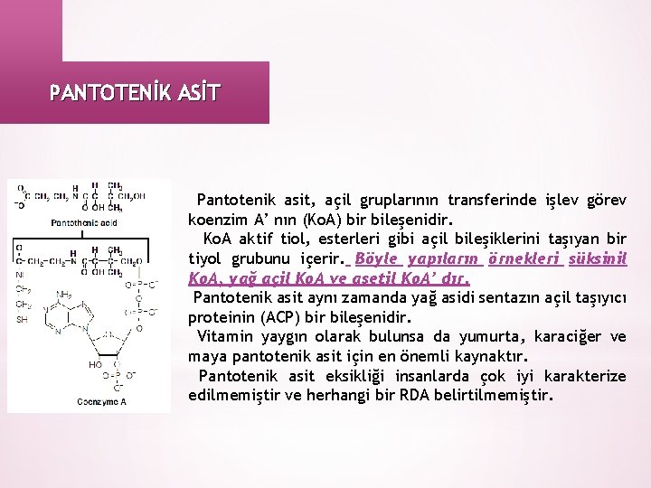 PANTOTENİK ASİT Pantotenik asit, açil gruplarının transferinde işlev görev koenzim A’ nın (Ko. A)