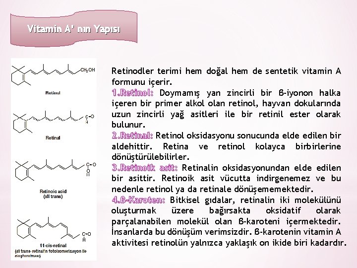 Vitamin A’ nın Yapısı Retinodler terimi hem doğal hem de sentetik vitamin A formunu