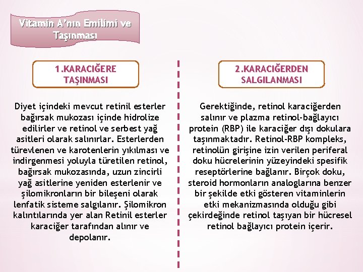 Vitamin A’nın Emilimi ve Taşınması 1. KARACIĞERE TAŞINMASI Diyet içindeki mevcut retinil esterler bağırsak