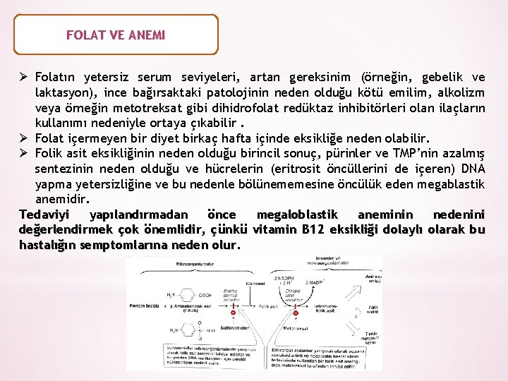 FOLAT VE ANEMI Ø Folatın yetersiz serum seviyeleri, artan gereksinim (örneğin, gebelik ve laktasyon),