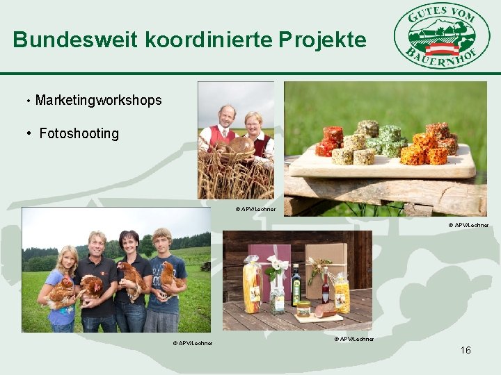 Bundesweit koordinierte Projekte • Marketingworkshops • Fotoshooting © APV/Lechner 16 