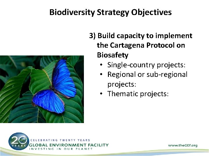 Biodiversity Strategy Objectives 3) Build capacity to implement the Cartagena Protocol on Biosafety •