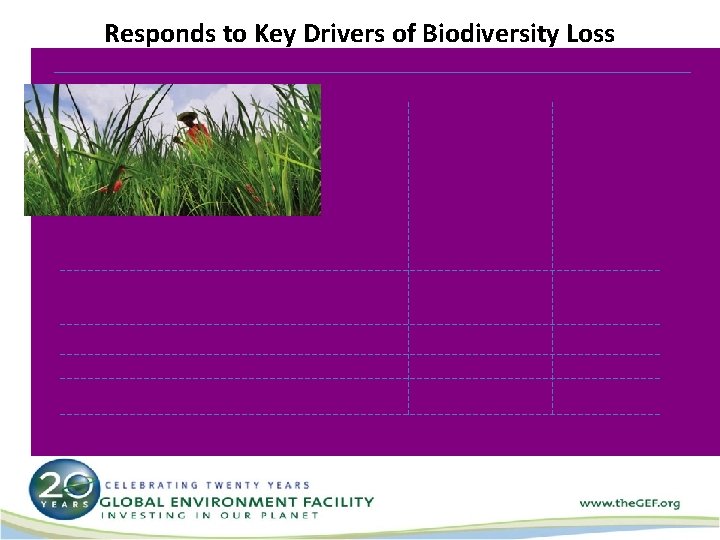 Responds to Key Drivers of Biodiversity Loss 