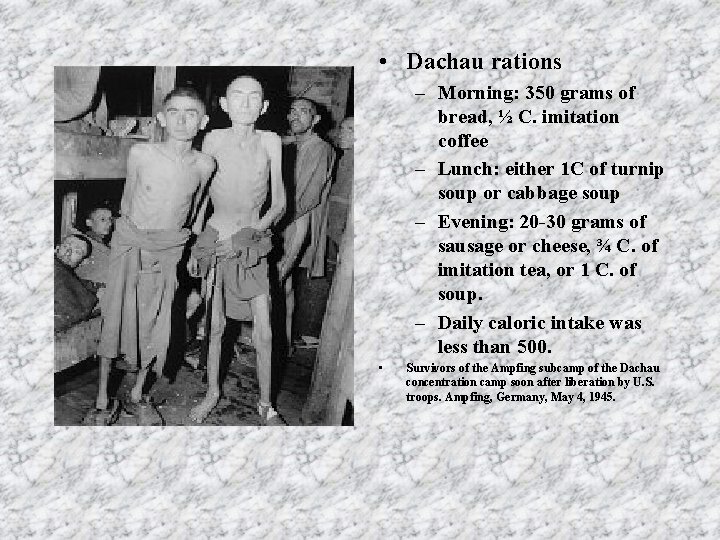  • Dachau rations – Morning: 350 grams of bread, ½ C. imitation coffee