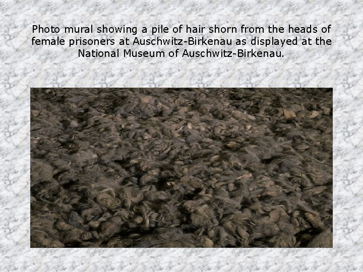 Photo mural showing a pile of hair shorn from the heads of female prisoners