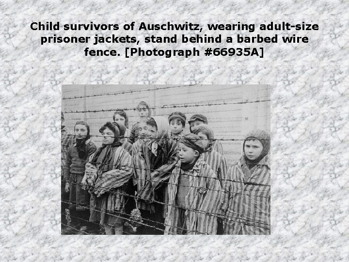 Child survivors of Auschwitz, wearing adult-size prisoner jackets, stand behind a barbed wire fence.