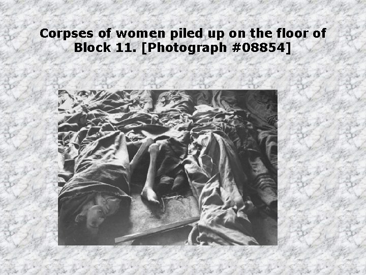 Corpses of women piled up on the floor of Block 11. [Photograph #08854] 