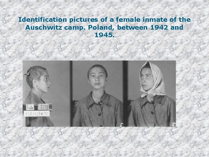 Identification pictures of a female inmate of the Auschwitz camp. Poland, between 1942 and