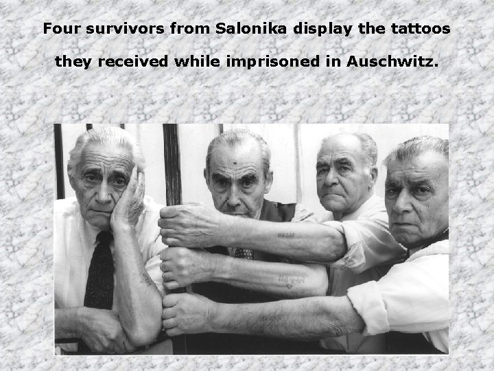Four survivors from Salonika display the tattoos they received while imprisoned in Auschwitz. 