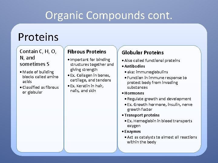 Organic Compounds cont. Proteins Contain C, H, O, N, and sometimes S • Made