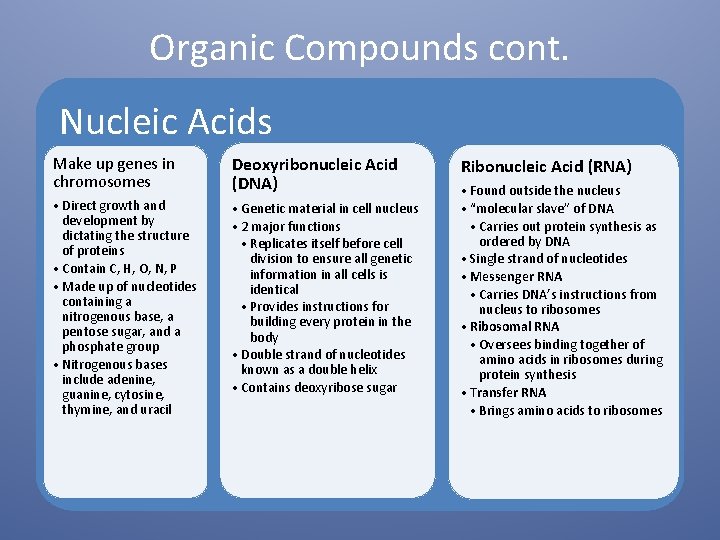 Organic Compounds cont. Nucleic Acids Make up genes in chromosomes Deoxyribonucleic Acid (DNA) •