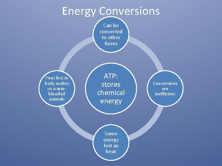 Energy Conversions Can be converted to other forms Heat lost in body makes us