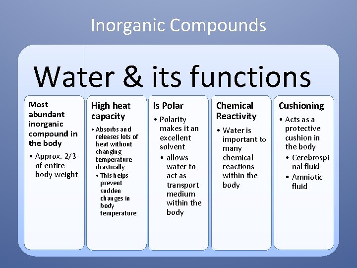 Inorganic Compounds Water & its functions Most abundant inorganic compound in the body •