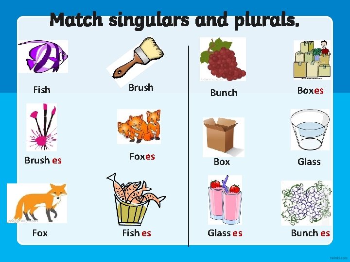 Match singulars and plurals. Fish Brush es Fox Fish es Bunch Boxes Box Glass