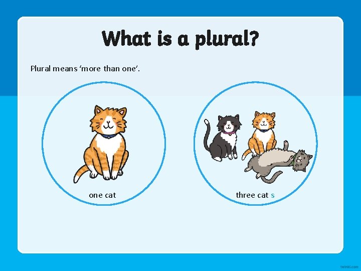 What is a plural? Plural means ‘more than one’. one cat three cat s