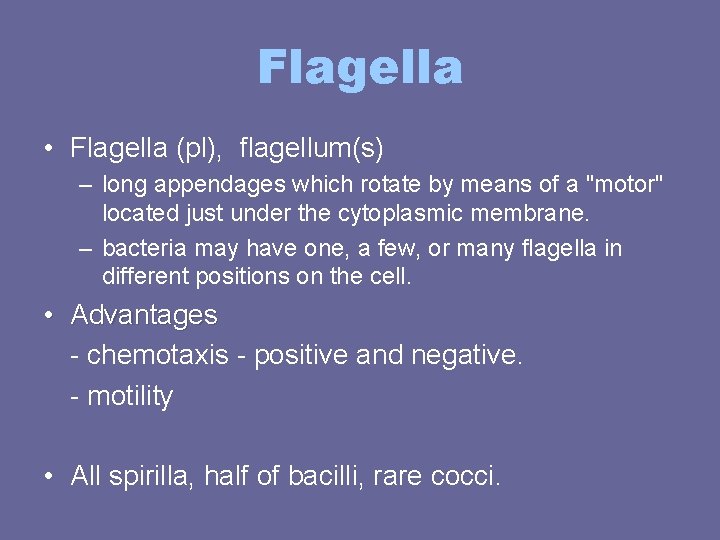 Flagella • Flagella (pl), flagellum(s) – long appendages which rotate by means of a Flagella • Flagella (pl), flagellum(s) – long appendages which rotate by means of a