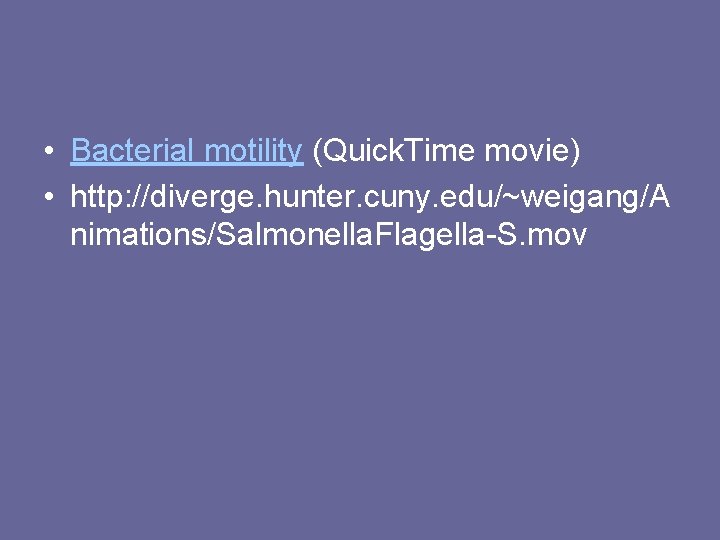 • Bacterial motility (Quick. Time movie) • http: //diverge. hunter. cuny. edu/~weigang/A nimations/Salmonella. • Bacterial motility (Quick. Time movie) • http: //diverge. hunter. cuny. edu/~weigang/A nimations/Salmonella.