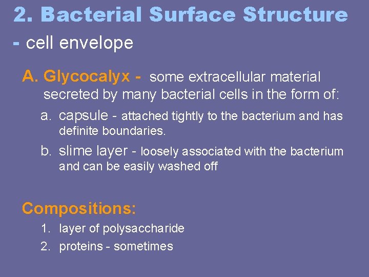2. Bacterial Surface Structure - cell envelope A. Glycocalyx - some extracellular material secreted 2. Bacterial Surface Structure - cell envelope A. Glycocalyx - some extracellular material secreted