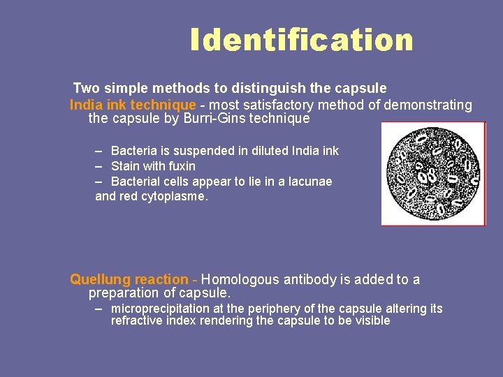Identification Two simple methods to distinguish the capsule India ink technique - most satisfactory Identification Two simple methods to distinguish the capsule India ink technique - most satisfactory
