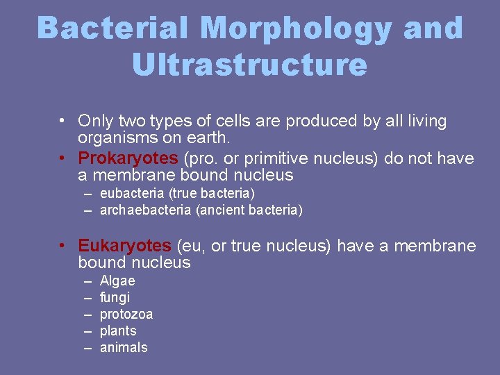 Bacterial Morphology and Ultrastructure • Only two types of cells are produced by all Bacterial Morphology and Ultrastructure • Only two types of cells are produced by all