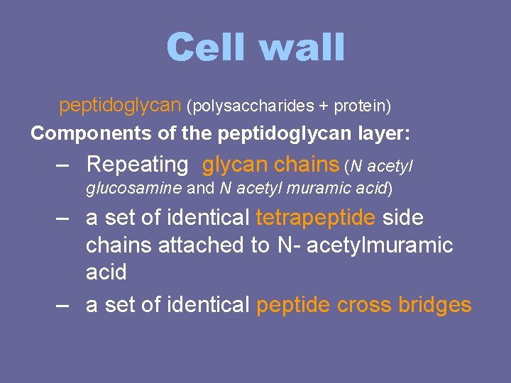 Cell wall peptidoglycan (polysaccharides + protein) Components of the peptidoglycan layer: – Repeating glycan Cell wall peptidoglycan (polysaccharides + protein) Components of the peptidoglycan layer: – Repeating glycan