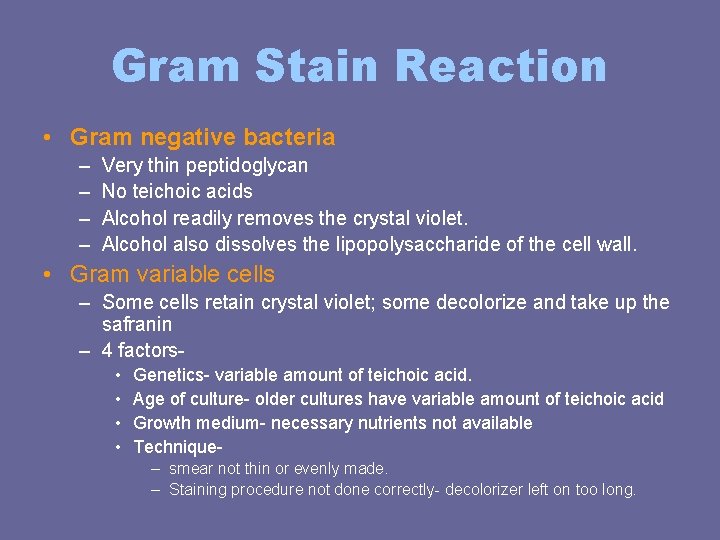 Gram Stain Reaction • Gram negative bacteria – – Very thin peptidoglycan No teichoic Gram Stain Reaction • Gram negative bacteria – – Very thin peptidoglycan No teichoic
