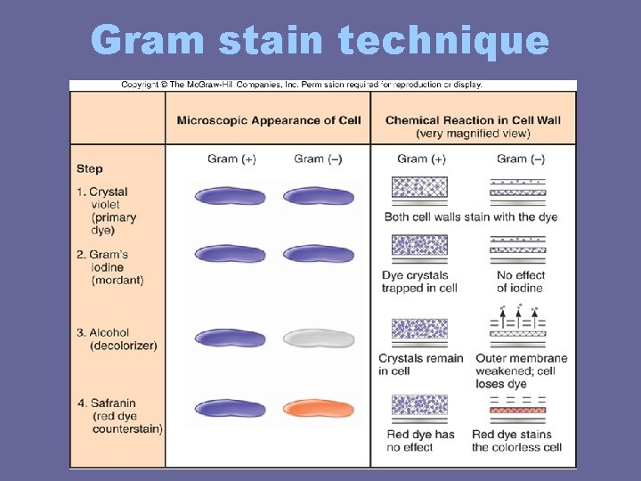 Gram stain technique Gram stain technique