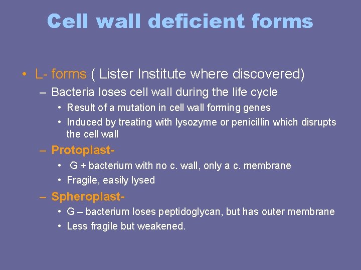 Cell wall deficient forms • L- forms ( Lister Institute where discovered) – Bacteria Cell wall deficient forms • L- forms ( Lister Institute where discovered) – Bacteria