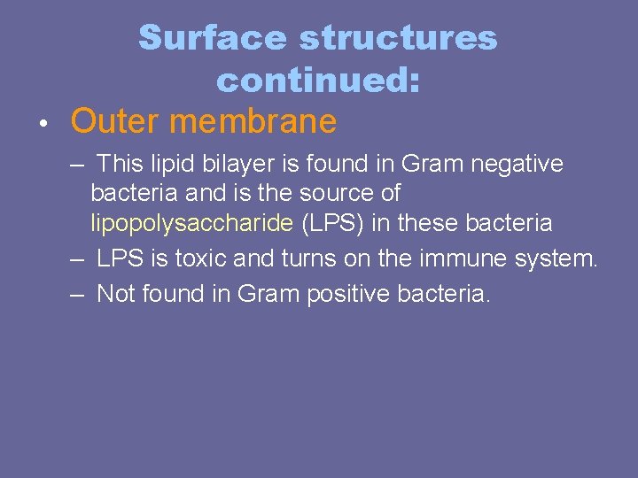 Surface structures continued: • Outer membrane – This lipid bilayer is found in Gram Surface structures continued: • Outer membrane – This lipid bilayer is found in Gram