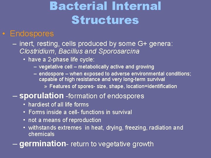 Bacterial Internal Structures • Endospores – inert, resting, cells produced by some G+ genera: Bacterial Internal Structures • Endospores – inert, resting, cells produced by some G+ genera: